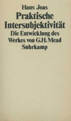 Praktische Intersubjektivit&auml;t