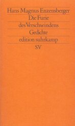 Die Furie des Verschwindens