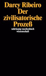 Der zivilisatorische Proze&szlig;