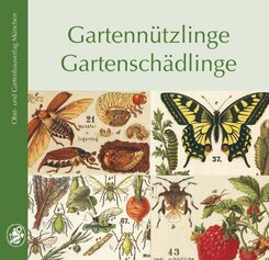 Gartenn&uuml;tzlinge, Gartensch&auml;dlinge