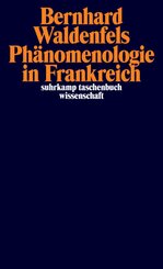Ph&auml;nomenologie in Frankreich