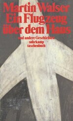 Ein Flugzeug &uuml;ber dem Haus und andere Geschichten