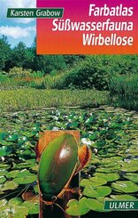 S&uuml;&szlig;wasserfauna Wirbellose