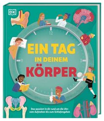 Ein Tag in deinem K&ouml;rper