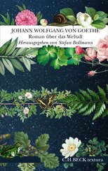 Roman &uuml;ber das Weltall