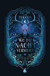Wo die Nacht verweilt