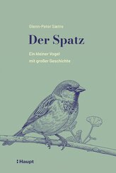 Der Spatz