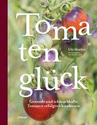 Tomatengl&uuml;ck