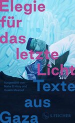 Elegie f&uuml;r das letzte Licht