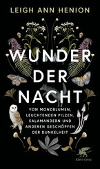 Wunder der Nacht