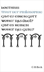 Trost der Philosophie