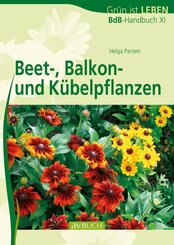Beet-, Balkon- und K&uuml;belpflanzen