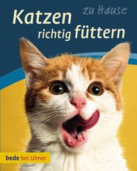 Katzen richtig f&uuml;ttern