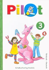 Pilot 3