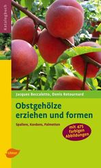 Obstgeh&ouml;lze erziehen und formen