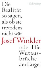 Die Realit&auml;t so sagen, als ob sie trotzdem nicht w&auml;r oder Die Wutausbr&uuml;che der Engel