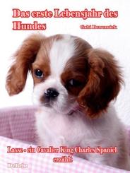 Das erste Lebensjahr des Hundes