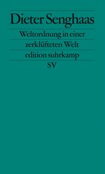 Weltordnung in einer zerkl&uuml;fteten Welt
