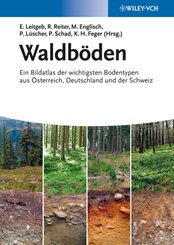 Waldb&ouml;den