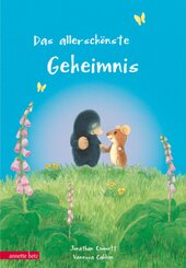 Das allersch&ouml;nste Geheimnis