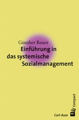 Einf&uuml;hrung in das systemische Sozialmanagement