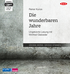 Die wunderbaren Jahre,1 Audio-CD, 1 MP3