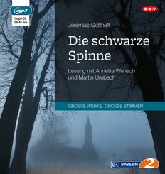 Die schwarze Spinne,1 Audio-CD, 1 MP3
