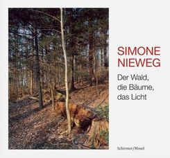 Der Wald, die B&auml;ume, das Licht