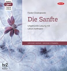 Die Sanfte,1 Audio-CD, 1 MP3
