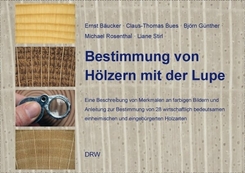 Bestimmung von H&ouml;lzern mit der Lupe