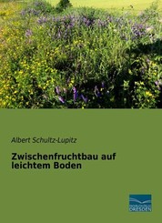 Zwischenfruchtbau auf leichtem Boden
