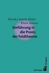 Einf&uuml;hrung in die Praxis der Feldtheorie
