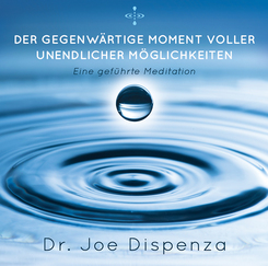Der gegenw&auml;rtige Moment voller unendlicher M&ouml;glichkeiten,1 Audio-CD