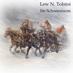 Im Schneesturm,Audio-CD, MP3