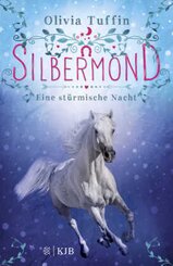 Silbermond: Eine st&uuml;rmische Nacht