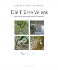 Die Fl&uuml;sse Wiens