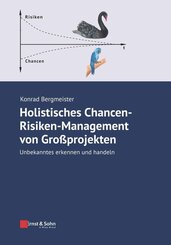 Holistisches Chancen-Risiken-Management von Gro&szlig;projekten