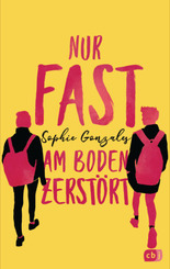 Nur fast am Boden zerst&ouml;rt