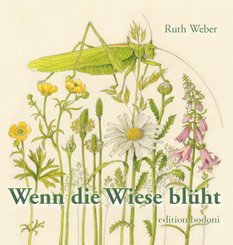 Wenn die Wiese bl&uuml;ht