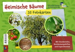 Heimische B&auml;ume - 32 Fotokarten