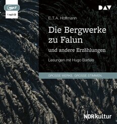 Die Bergwerke zu Falun und andere Erz&auml;hlungen,1 Audio-CD, 1 MP3