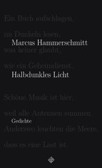 Halbdunkles Licht