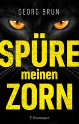 Sp&uuml;re meinen Zorn