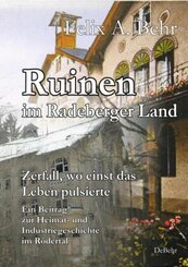 Ruinen im Radeberger Land - Zerfall, wo einst das Leben pulsierte - Ein Beitrag zur Heimat- und Industriegeschichte im R&ouml;dertal
