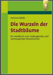 Die Wurzeln der Stadtb&auml;ume