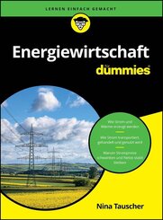 Energiewirtschaft f&uuml;r Dummies