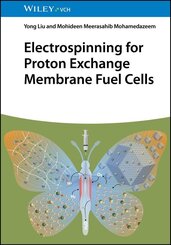 Electrospinning for Proton Exchange Membrane Fuel Cells