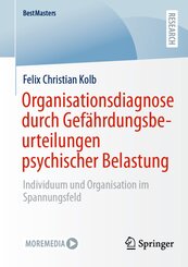 Organisationsdiagnose durch Gef&auml;hrdungsbeurteilungen psychischer Belastung