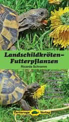 Landschildkr&ouml;ten-Futterpflanzen