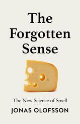 The Forgotten Sense